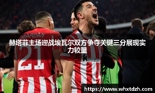 MILE米乐官方网站