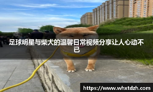 MILE米乐官方网站