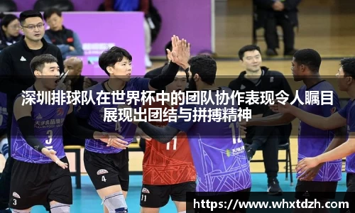 深圳排球队在世界杯中的团队协作表现令人瞩目展现出团结与拼搏精神